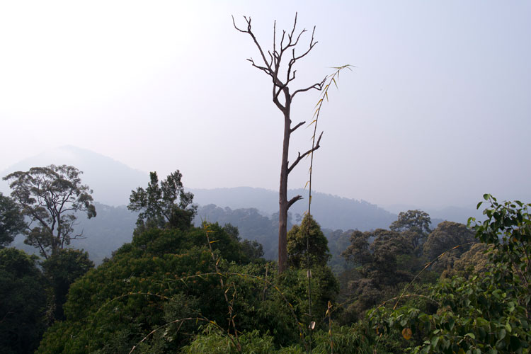 Bukit Seraya view