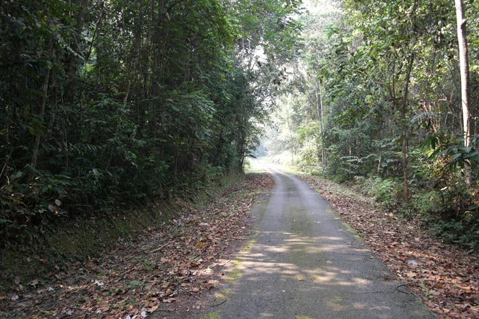Road to Kuala Juram