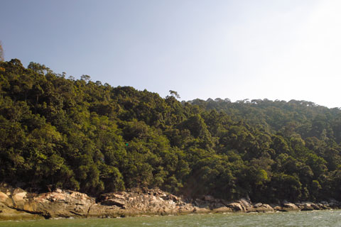 Original Penang Island