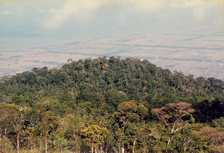 Gunung Jerai view
