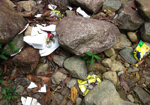 Gunung Pulai rubbish problem