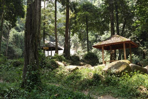 Lata Berembun Recreational Forest