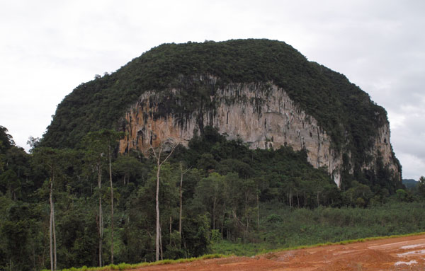 Merapoh limestone hill