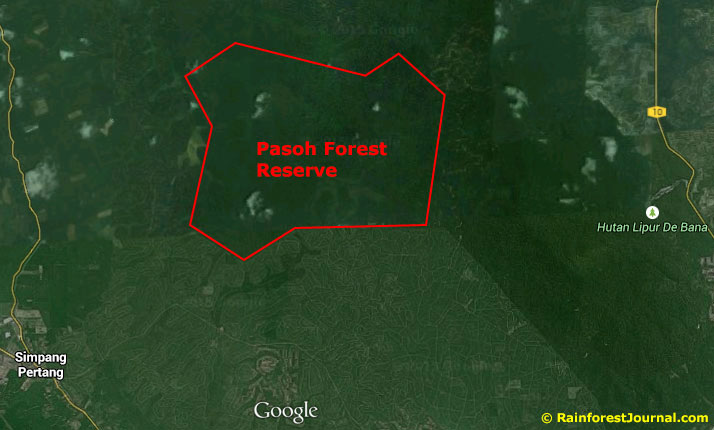 pasoh forest reserve