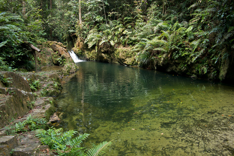 Blue lagoon in Puchong forest
